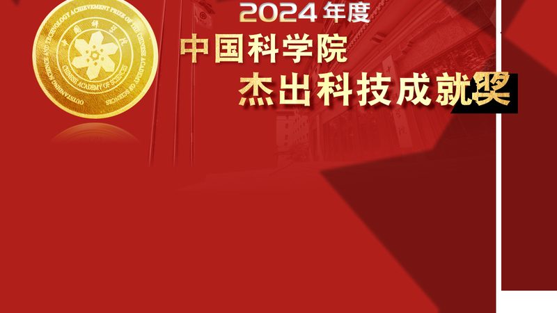 低代码平台：开启高效编程新纪元