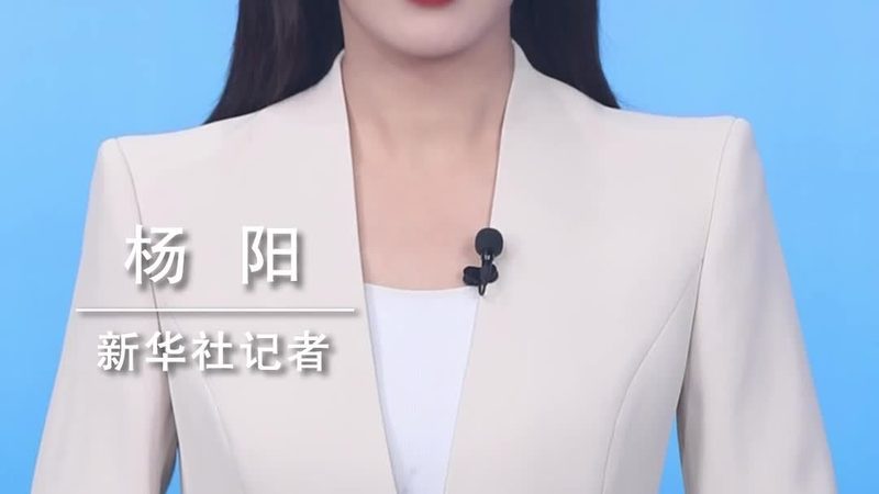 功能测试报告模板：构建高效IT决策的基石**